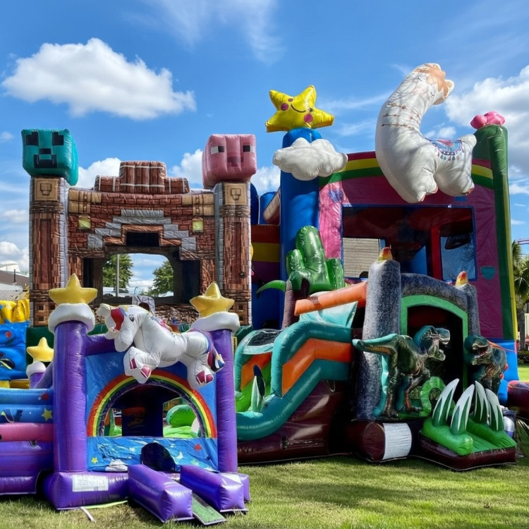 Themed bounce houses Themed bounce houses